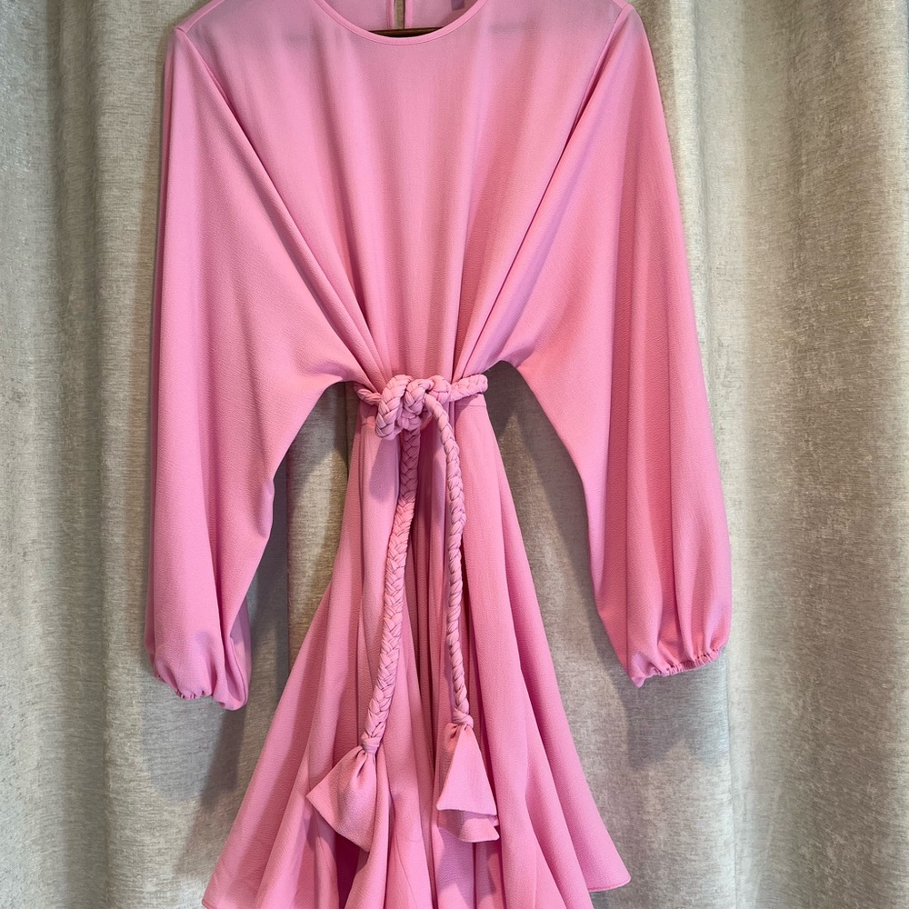 Gianni Bini Pink Pleated Mini Dress Braided Belt Long Sleeve M - Picture 3 of 6